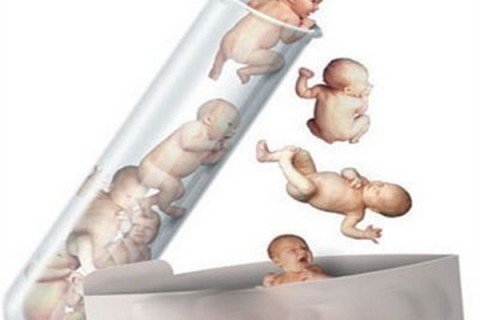 http://changchun.dacou.net/post/194.html|长春新闻中心